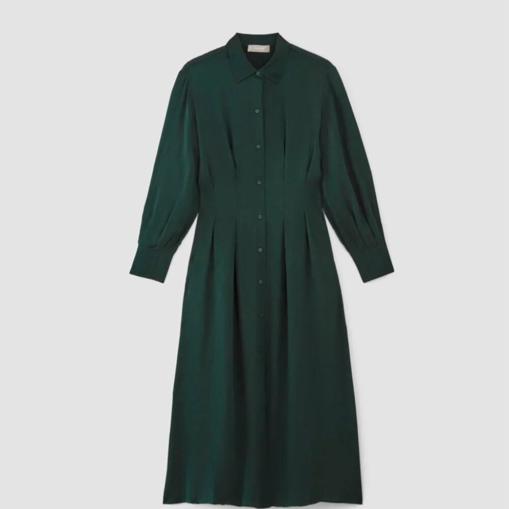 NWT Everlane The Hammered Satin Shirt Dress